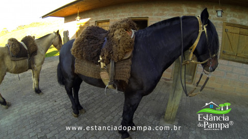 DOS EÓLICOS VIRA P FAZENDA_Moment.00_04_19_01.Quadro410_55f5ef30a6558167d3ed2d1430aa9be311986fcd.jpg